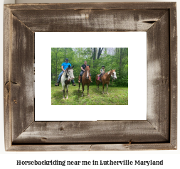 horseback riding near me in Lutherville, Maryland